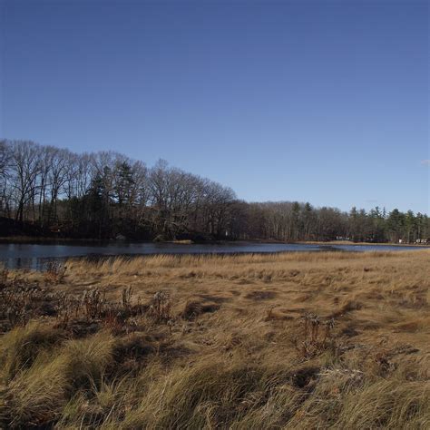 CHAPMAN'S LANDING (2026) All You Need to Know BEFORE Going (with Photos)