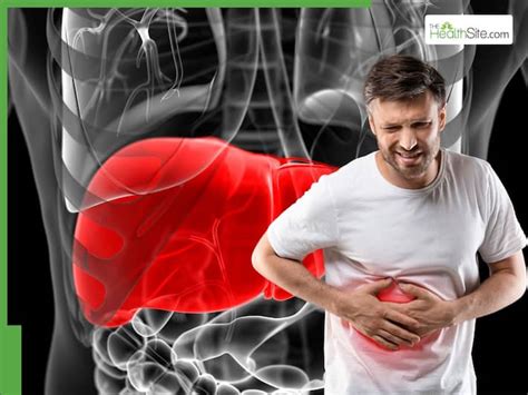 What Does A Happy Liver Look Like: 6 Signs Of A Healthy Hepatic System ...