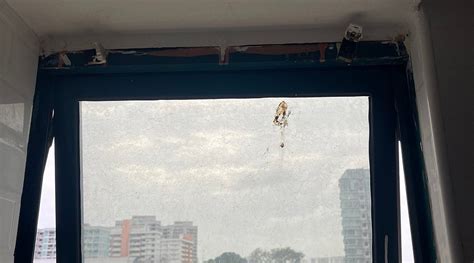 REDDOORZ @ GEYLANG (Singapore) - Hotel Reviews & Photos - Tripadvisor