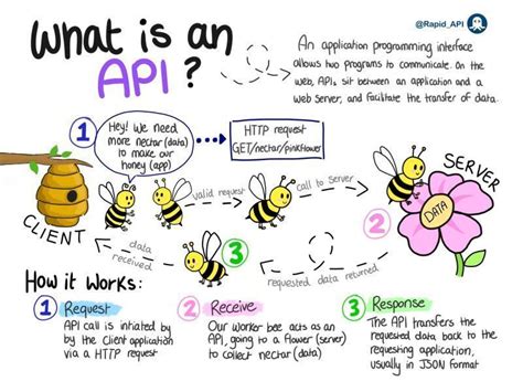 Image result for How Does an API Actually Work