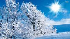 Wallpaper Of Winter by Winter Wallpapers Best Wallpapers Wallpaper Of Winter