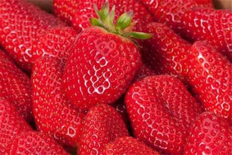 草莓没熟吃了会不会拉肚子-【草莓没熟吃了会不会拉肚子】的解答方法步骤-全查网