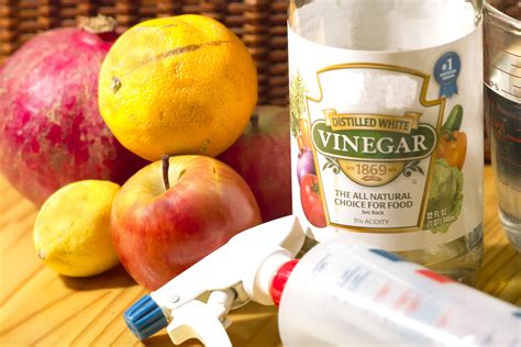 Washing Fruit And Veg With Apple Cider Vinegar at Palmer Ellerbee blog