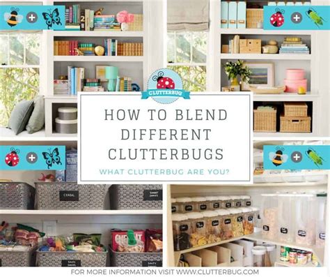 Image result for Clutterbug Organizing Style