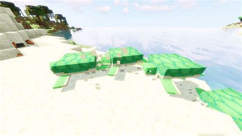 Image result for How to Craft a Turtle Shell in Minecraft