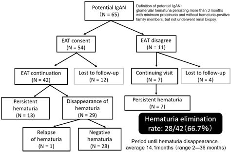 Role of Palatine Tonsil and Epipharyngeal Lymphoid Tissue in the ...