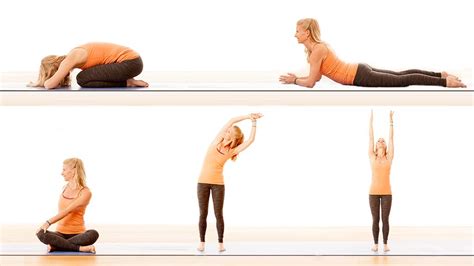Image result for Spinal Health Exercises