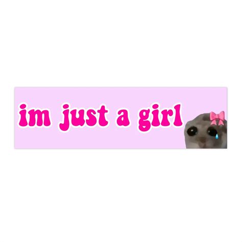 Im Just a Girl | Bumper Sticker AND Magnet | Funny Meme Sticker | 8.7 ...