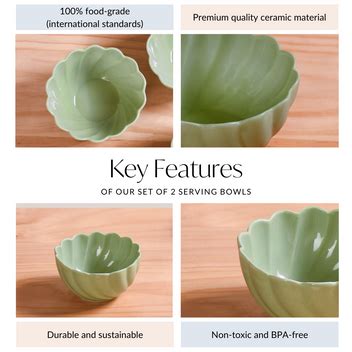 Set Of 2 Solid Ceramic Serving Bowls Lao Luxury 850ml Online - Premium ...