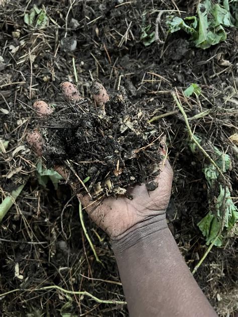 Image result for Composting Questions