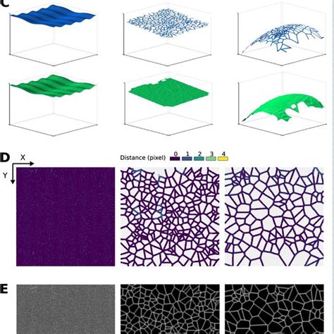 Image result for Multiple Extraction