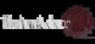 Beholder 2 | Ministry Spy Simulation