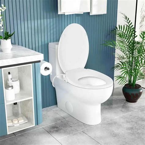 DooLv Bidet Toilet Seat Elongated Review - Bidet Converter Kits