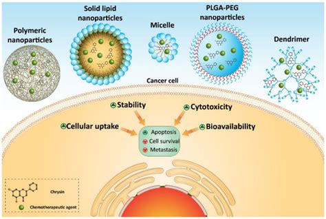 Broad-Spectrum Preclinical Antitumor Activity of Chrysin: Current ...