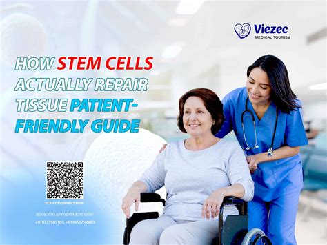 Placenta Stem Cells: Benefits, Therapy & Storage Guide