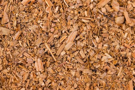 Image result for Compost Texture