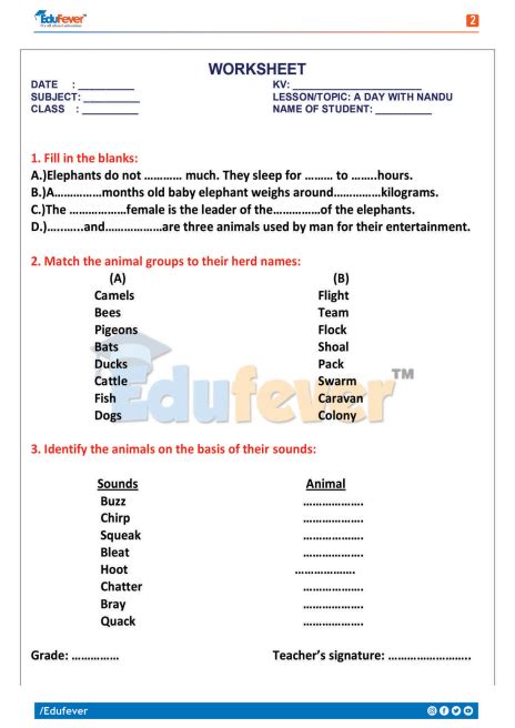 Image result for Class 4 EVS Worksheet