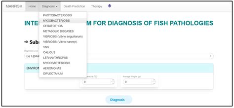 Using Level-Based Multiple Reasoning in a Web-Based Intelligent System ...
