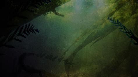 Watch Something Bit Me TV Show - Streaming Online | Nat Geo TV