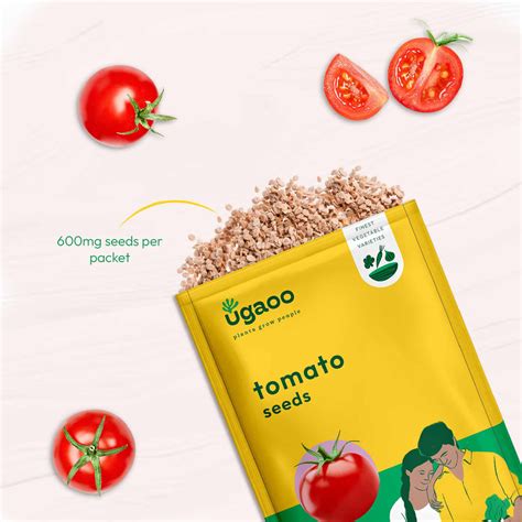 Buy Vegetable Seeds for Home Garden in India | Grow Fresh Produce at ...