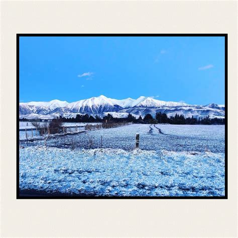 Image result for Springfield NZ