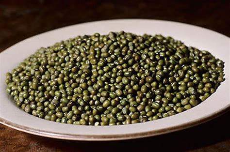 Recepti – Provjereni i jednostavni recepti za kuhanje