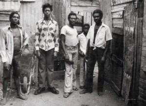 Scrapy Reggae.com 的图像结果