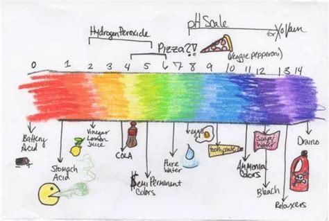 Draw the pH chart (pH chart ranging from 0 to 14) Label the diagram and ...