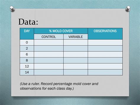 Image result for Example of Experiment of Bread