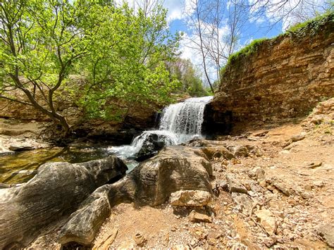The Return of the Majestic Elk in Arkansas - Somewhere In Arkansas