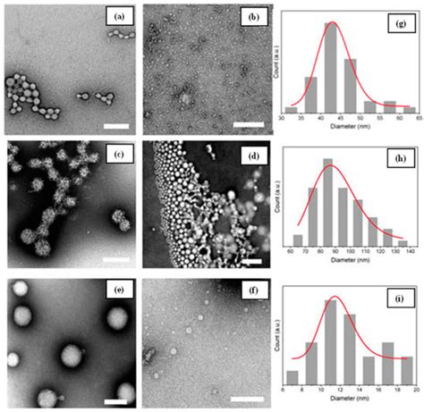 Update on Chitosan-Based Hydrogels: Preparation, Characterization, and ...