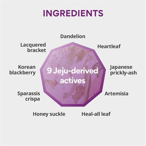 Innisfree Perfect 9 Intensive cream 60ML – INNISFREE India