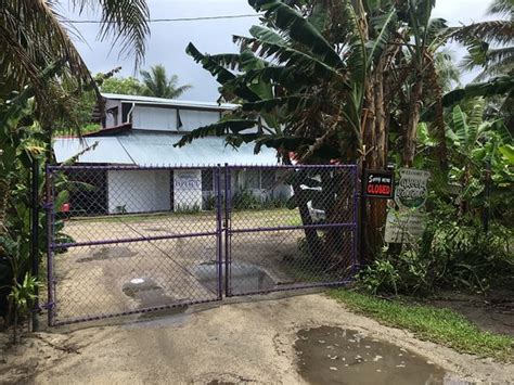 Green Banana Paper Company (Kosrae) - 2020 What to Know Before You Go ...