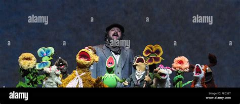 Image result for Muppet Show O2