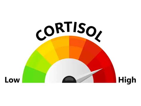 What missing breakfast does to your blood sugar and cortisol in just 7 ...
