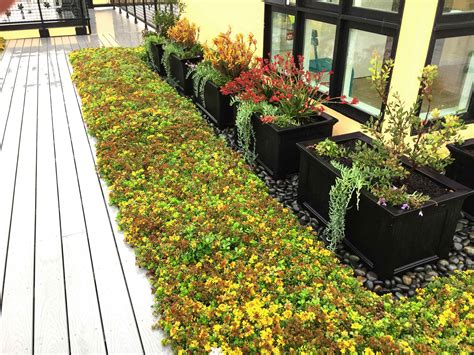 Apartments in Berkeley, CA - Addison Arts Apartments in Berkeley, CA