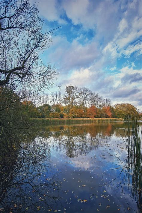 After the autumn storm | Wijnand Kroes | Wijnand Kroes | Flickr