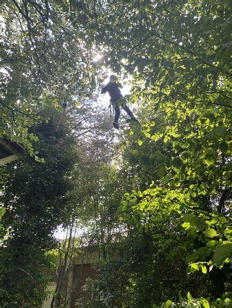 Trafford Treetop Adventures (Stretford) - All You Need to Know BEFORE ...