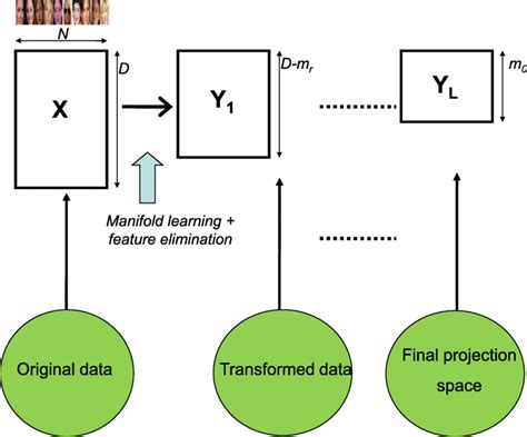 Simultaneous embedding Applications 的图像结果