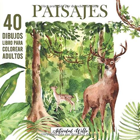 Buy Paisajes para Colorear Adultos: Dibujos para Pintar o Colorear ...