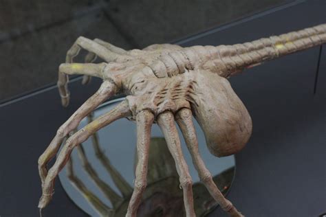 Alien Earth Facehuggers 的图像结果