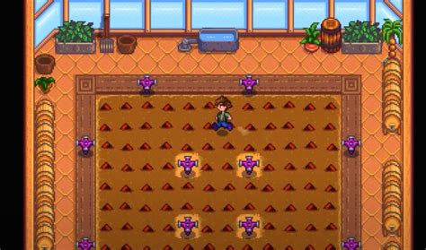 Rare Seed Stardew Valley Guide - SDew HQ