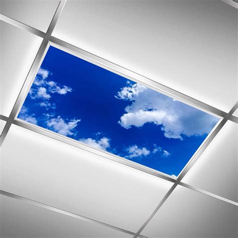 MSINMKOK Fluorescent Light Covers for Ceiling Lights Classroom Office ...