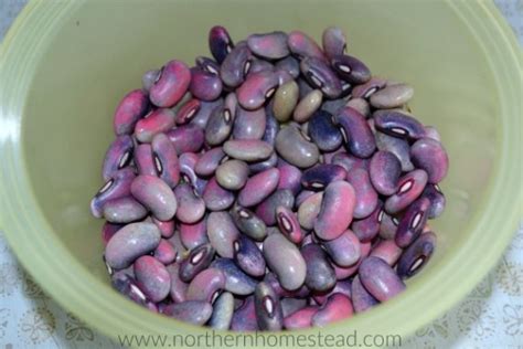 Runner Beans Recipe 的图像结果