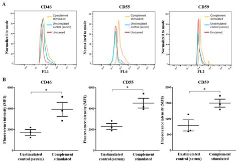 Complement-Mediated Two-Step NETosis: Serum-Induced Complement ...