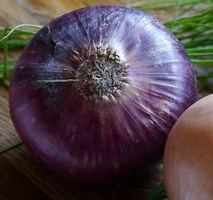Avysa Onion Red Amposta Seed Price in India - Buy Avysa Onion Red ...