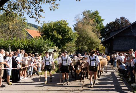 Viehscheid in Thalkirchdorf, Hugo-von-Königsegg-Straße 8, 87534 ...