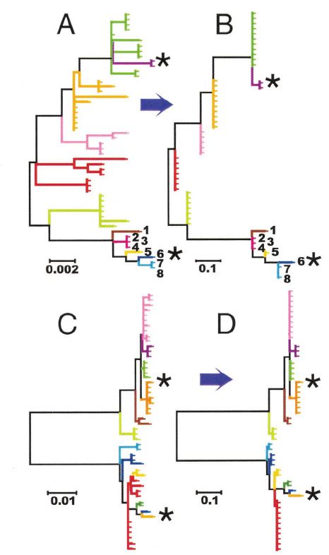 Simulated Evolution 的图像结果