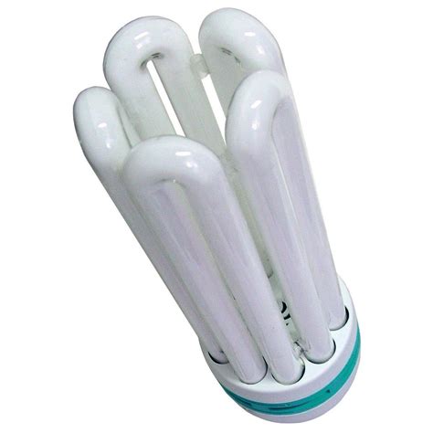 Fluorescent Grow Lamps