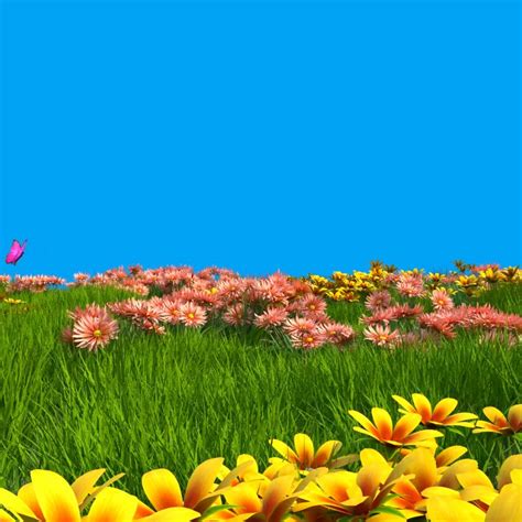 Image result for Nature Motion Graphics